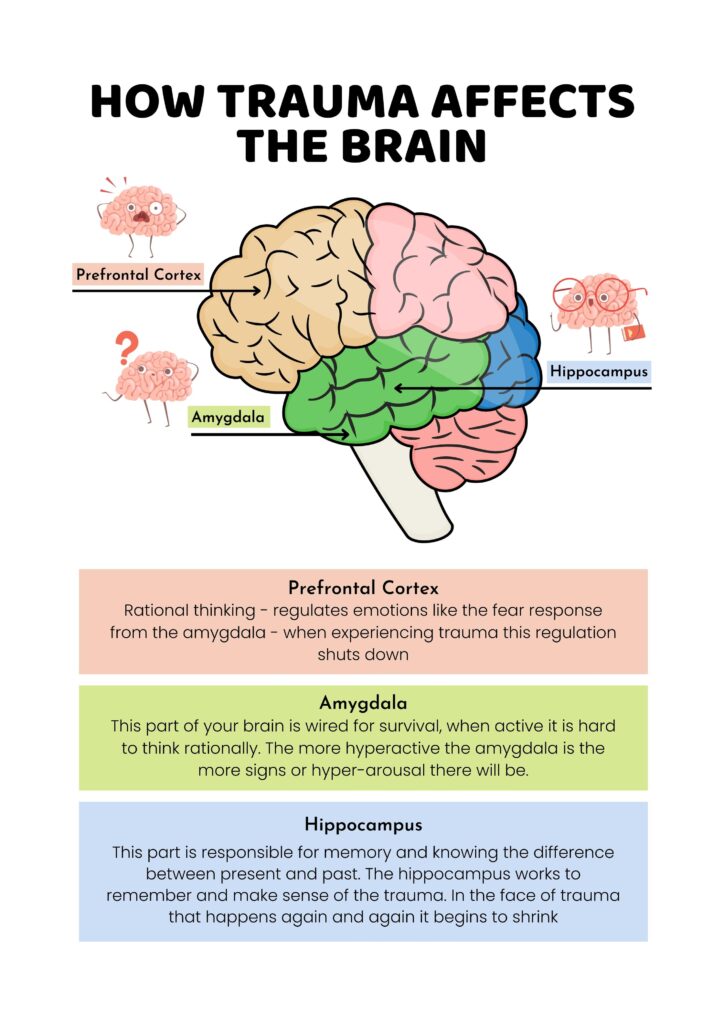 How Trauma Effects the brain - Azadeh Aslanzadeh Azari